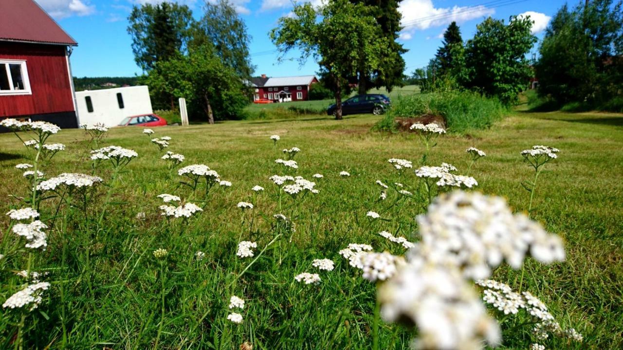 Fiberhusets Retreat: High-Speed Haven Near Hudiksvall Exterior photo